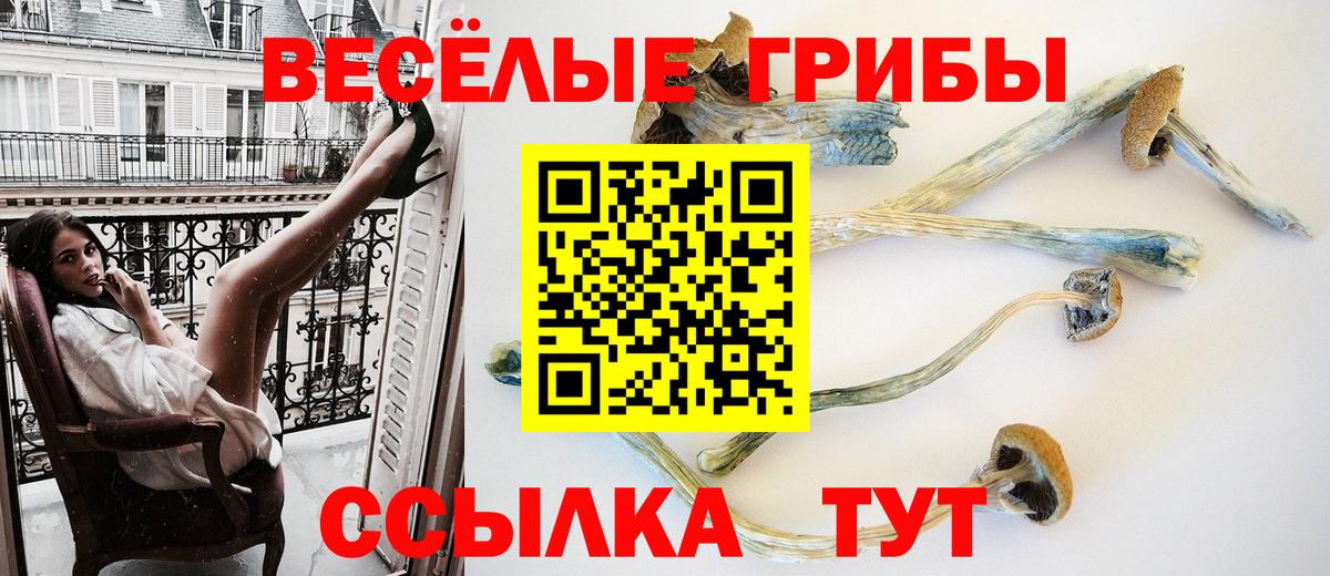 Псилоцибиновые грибы мухоморы  Вход с VPN  Выборг 